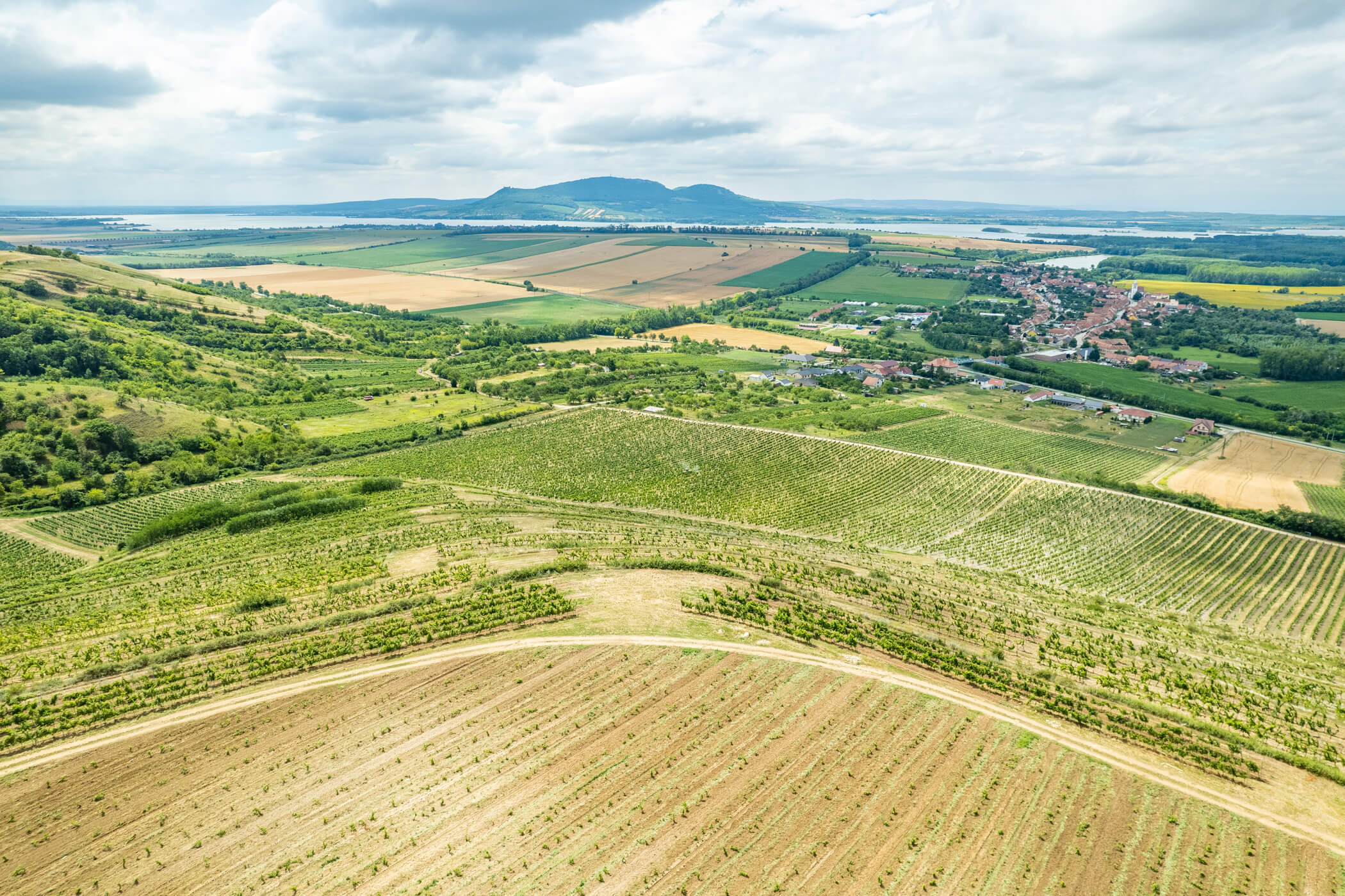 Rovná vinice s dechberoucím výhledem na stepi a majestátní Pálavu! 1 120 m², obec Pouzdřany